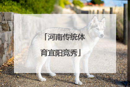 河南传统体育宜阳竞秀