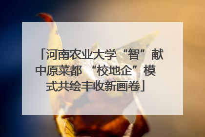 河南农业大学“智”献中原菜都 “校地企”模式共绘丰收新画卷