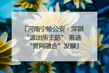 河南宁陵公安：深耕“派出所主防” 推进“警网融合”发展