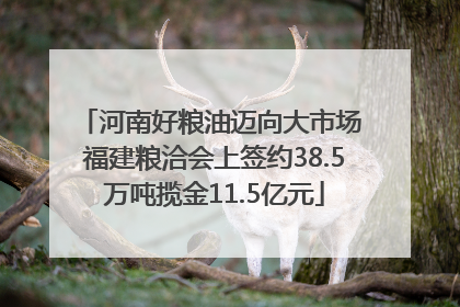 河南好粮油迈向大市场 福建粮洽会上签约38.5万吨揽金11.5亿元