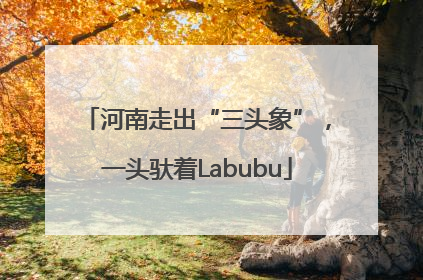 河南走出“三头象”，一头驮着Labubu