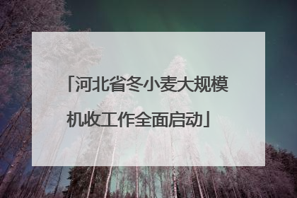 河北省冬小麦大规模机收工作全面启动