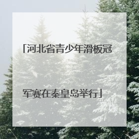 河北省青少年滑板冠军赛在秦皇岛举行