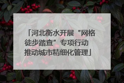 河北衡水开展“网格徒步踏查”专项行动 推动城市精细化管理