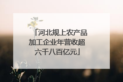河北规上农产品加工企业年营收超六千八百亿元