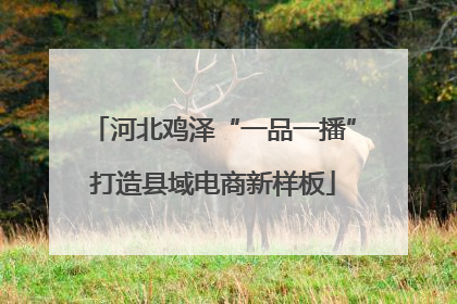 河北鸡泽“一品一播”打造县域电商新样板