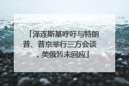 泽连斯基呼吁与特朗普、普京举行三方会谈，美俄暂未回应