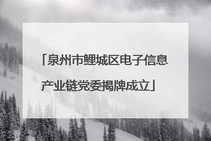 泉州市鲤城区电子信息产业链党委揭牌成立