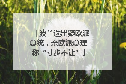 波兰选出疑欧派总统，亲欧派总理称“寸步不让”