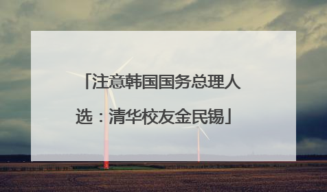 注意韩国国务总理人选：清华校友金民锡