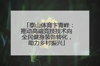 泰山体育卞青峰：推动高端竞技技术向全民健身装备转化，助力乡村振兴