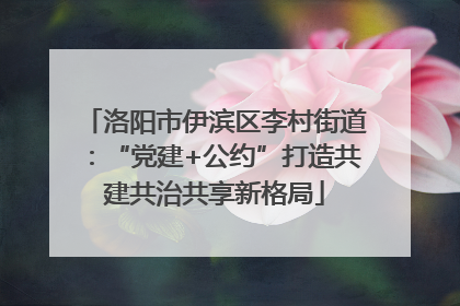 洛阳市伊滨区李村街道：“党建+公约”打造共建共治共享新格局