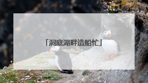 洞庭湖畔造船忙