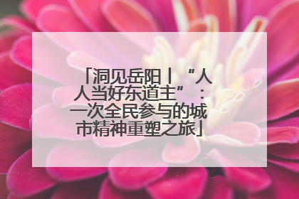 洞见岳阳丨“人人当好东道主”：一次全民参与的城市精神重塑之旅