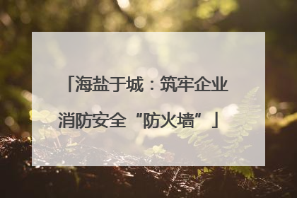 海盐于城：筑牢企业消防安全“防火墙”