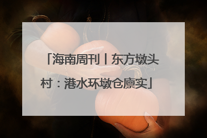 海南周刊丨东方墩头村：港水环墩仓廪实