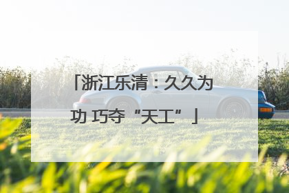浙江乐清：久久为功 巧夺“天工”