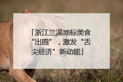 浙江兰溪地标美食“出圈”，激发“舌尖经济”新动能