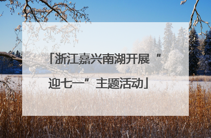 浙江嘉兴南湖开展“迎七一”主题活动