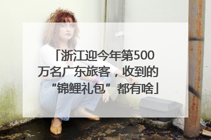 浙江迎今年第500万名广东旅客，收到的“锦鲤礼包”都有啥