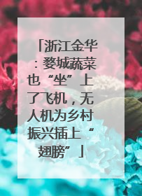浙江金华：婺城蔬菜也“坐”上了飞机，无人机为乡村振兴插上“翅膀”