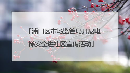 浦口区市场监管局开展电梯安全进社区宣传活动