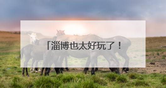 淄博也太好玩了！足不出市，乡村游让端午充满“淄”味