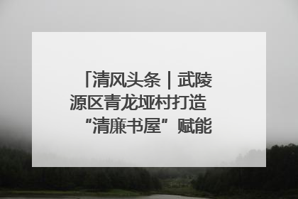 清风头条｜武陵源区青龙垭村打造“清廉书屋”赋能乡村振兴新风尚