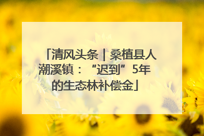 清风头条｜桑植县人潮溪镇：“迟到”5年的生态林补偿金