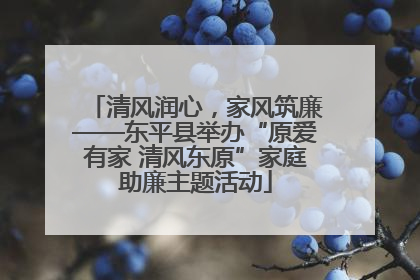 清风润心，家风筑廉——东平县举办“原爱有家 清风东原”家庭助廉主题活动