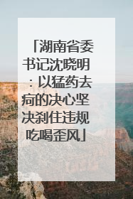 湖南省委书记沈晓明：以猛药去疴的决心坚决刹住违规吃喝歪风