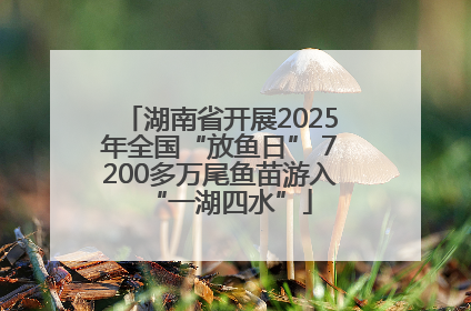 湖南省开展2025年全国“放鱼日” 7200多万尾鱼苗游入“一湖四水”