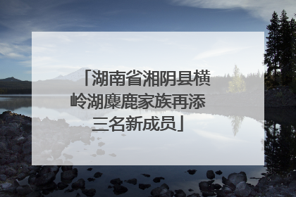 湖南省湘阴县横岭湖麋鹿家族再添三名新成员