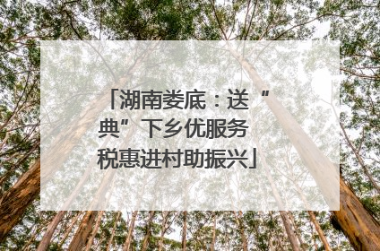 湖南娄底：送“典”下乡优服务 税惠进村助振兴