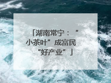 湖南常宁：“小茶叶”成富民“好产业”