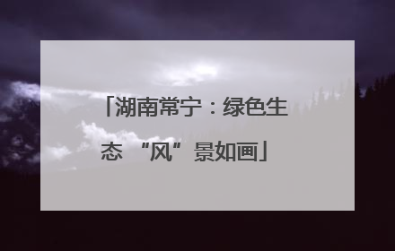湖南常宁：绿色生态 “风”景如画