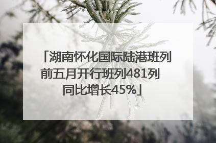 湖南怀化国际陆港班列前五月开行班列481列 同比增长45%