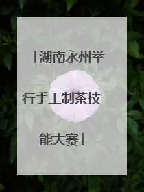 湖南永州举行手工制茶技能大赛