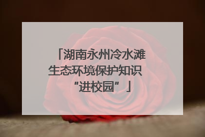 湖南永州冷水滩生态环境保护知识“进校园”