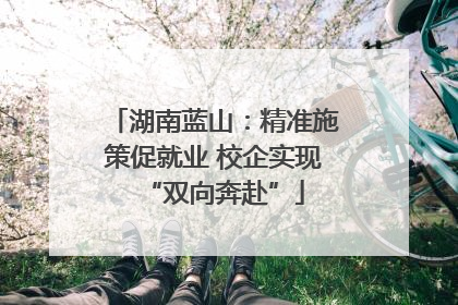 湖南蓝山：精准施策促就业 校企实现“双向奔赴”