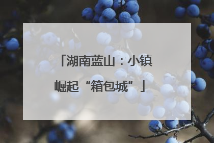 湖南蓝山：小镇崛起“箱包城”