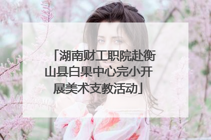 湖南财工职院赴衡山县白果中心完小开展美术支教活动