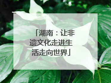 湖南：让非遗文化走进生活走向世界
