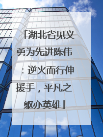 湖北省见义勇为先进陈伟：逆火而行伸援手，平凡之躯亦英雄