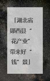 湖北省郧西县“花产业”带来好“钱”景