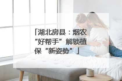 湖北房县：烟农“好帮手”解锁植保“新姿势”