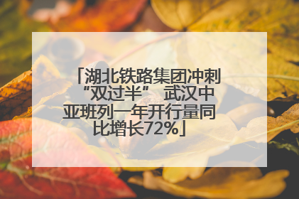 湖北铁路集团冲刺“双过半” 武汉中亚班列一年开行量同比增长72%