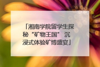 湘南学院留学生探秘“矿物王国” 沉浸式体验矿博盛宴