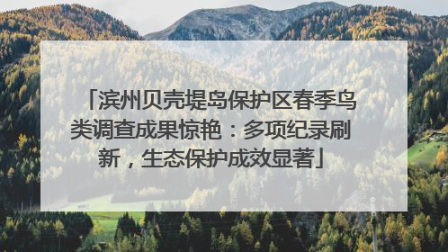 滨州贝壳堤岛保护区春季鸟类调查成果惊艳：多项纪录刷新，生态保护成效显著