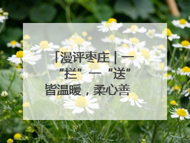 漫评枣庄｜一“拦”一“送”皆温暖，柔心善意映枣城